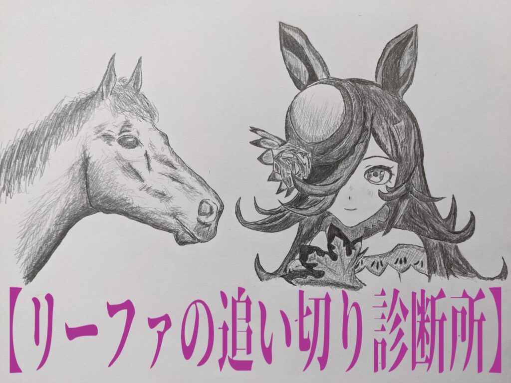 【フォトパドックの真実】