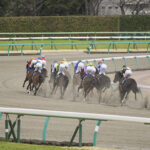 【３頭併せの解説と意味合い】