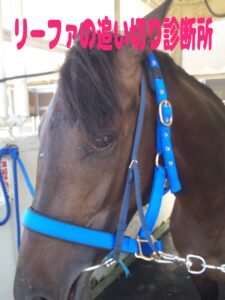 【長距離輸送】について